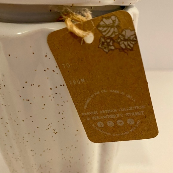 NWT 10 Strawberry Street Artisan Collection Cream Speckled...